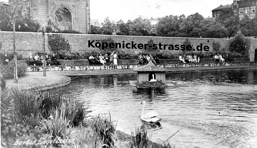 Schw&auml;ne am Engelbecken